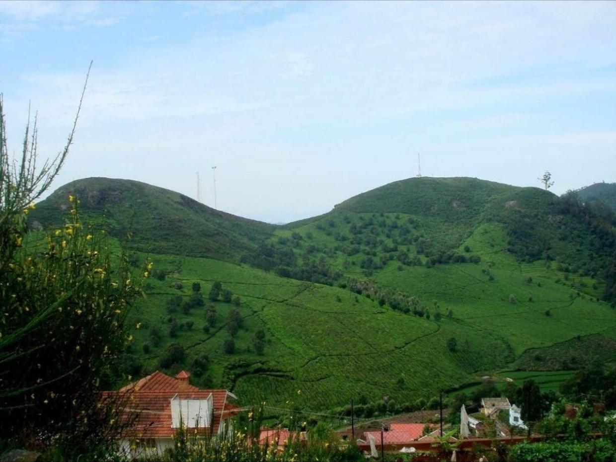 Mist विला